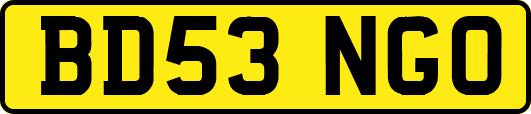 BD53NGO