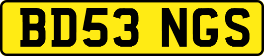 BD53NGS