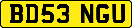 BD53NGU