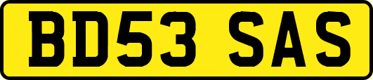 BD53SAS