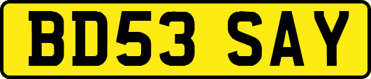 BD53SAY
