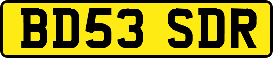 BD53SDR
