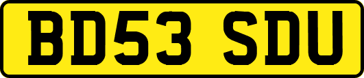 BD53SDU