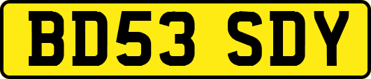 BD53SDY