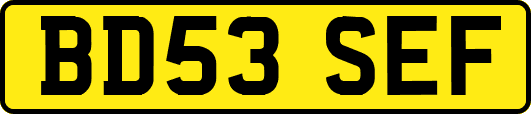 BD53SEF