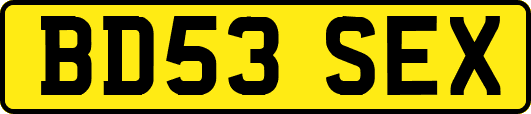 BD53SEX