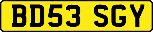 BD53SGY