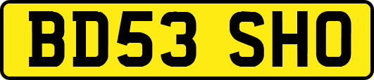 BD53SHO