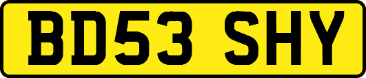 BD53SHY