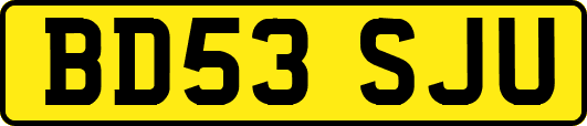 BD53SJU