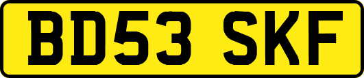 BD53SKF