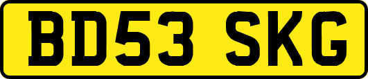 BD53SKG