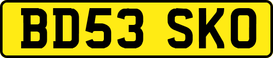 BD53SKO