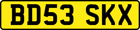 BD53SKX