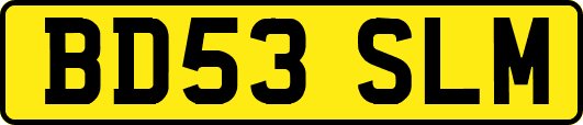 BD53SLM