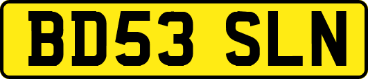 BD53SLN