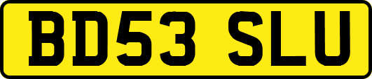 BD53SLU