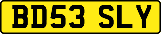 BD53SLY