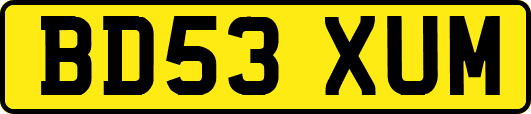 BD53XUM
