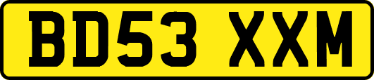 BD53XXM