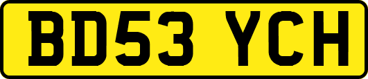 BD53YCH