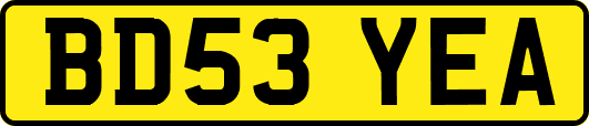 BD53YEA