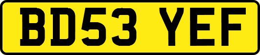BD53YEF