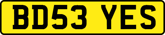 BD53YES