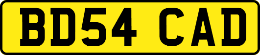 BD54CAD