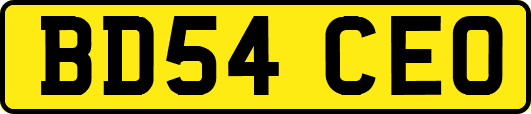 BD54CEO
