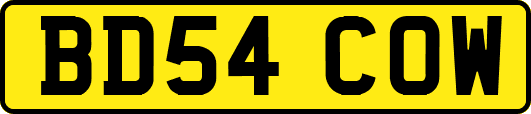 BD54COW