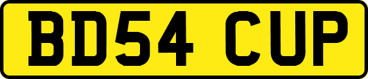 BD54CUP