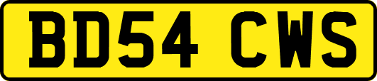 BD54CWS