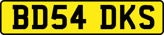 BD54DKS
