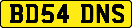BD54DNS