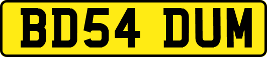 BD54DUM