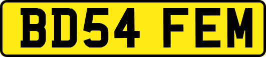 BD54FEM
