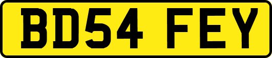 BD54FEY