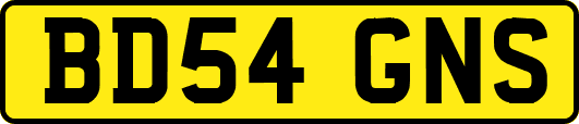 BD54GNS