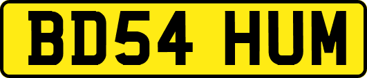 BD54HUM