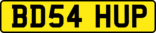 BD54HUP