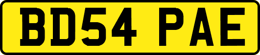 BD54PAE