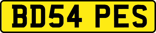 BD54PES