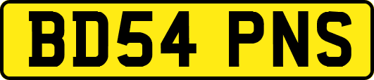 BD54PNS