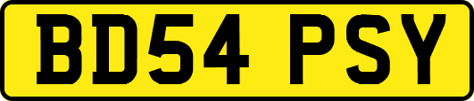 BD54PSY