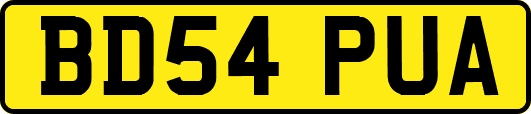 BD54PUA