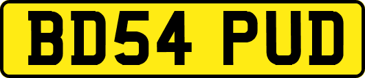 BD54PUD