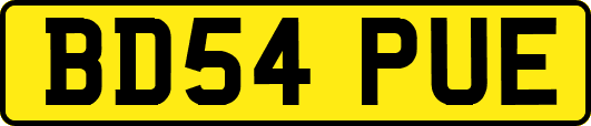BD54PUE