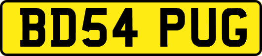 BD54PUG