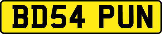 BD54PUN